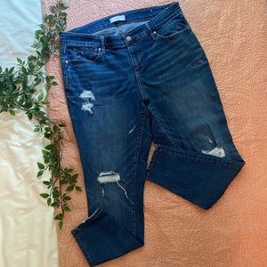 Loft Plus High Waist Jeans
